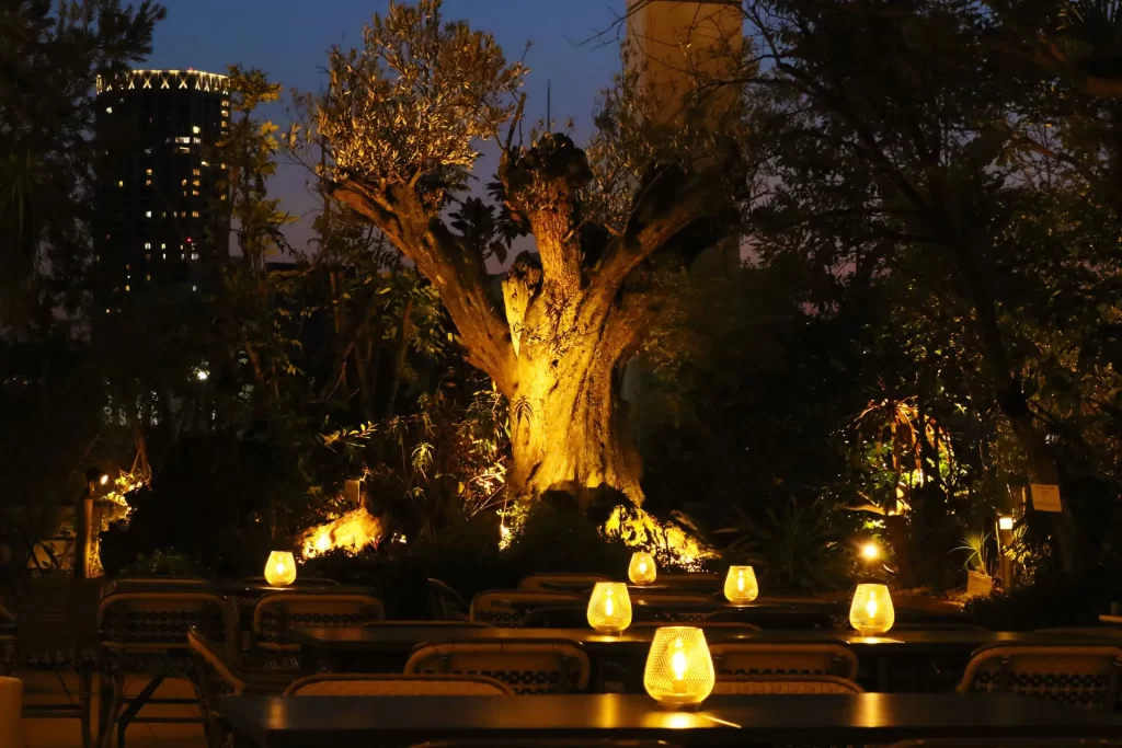 恵比寿のルーフトップレストラン「シロノニワ」のビアガーデン