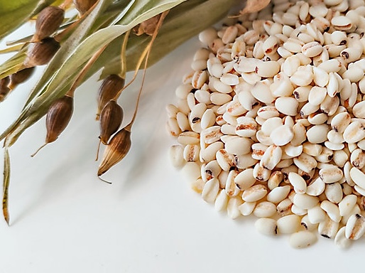 大竹宗久が楽しく教える薬膳料理　体を内側からすっきり整える薬膳