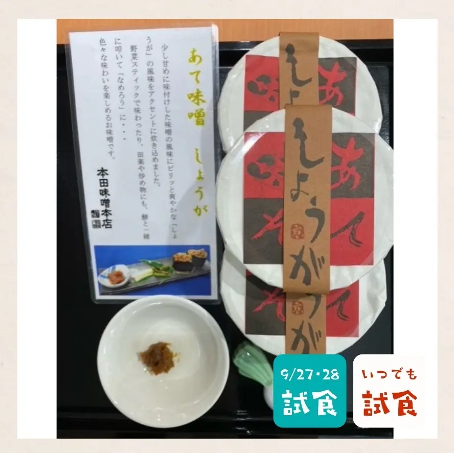 『ごはんに恋するおとも図鑑 ～ベストパートナーを探せ！～』