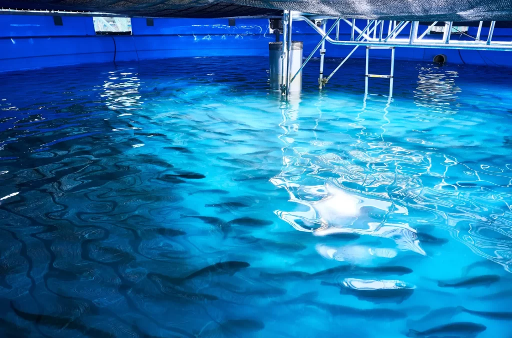 【名古屋タカシマヤ】「髙島屋のおせち料理 2026」