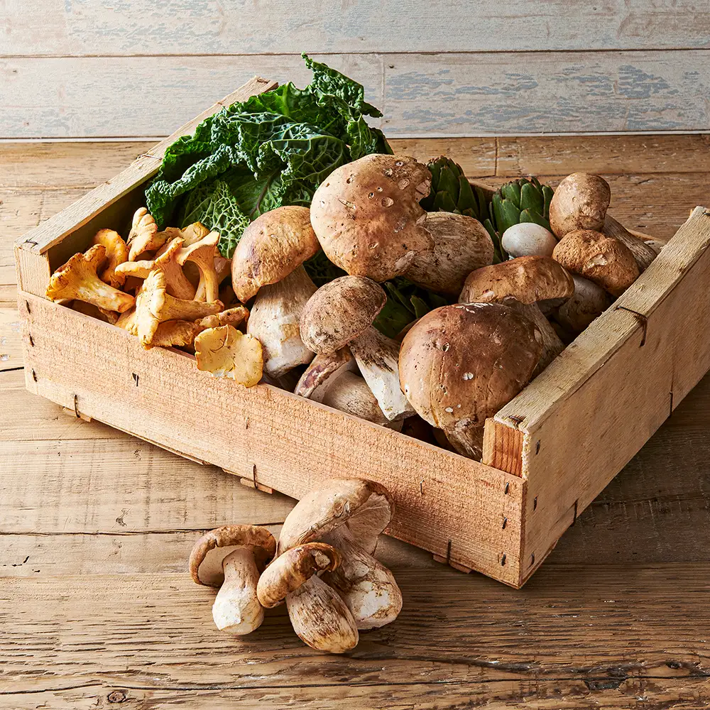 日本橋三越本店フランス展 2025」