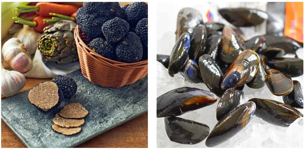 日本橋三越本店フランス展 2025」