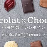 【小田急百貨店オンラインストアのバレンタイン】約100ブランド700種以上を展開！「ショコラ×ショコラ」開催中