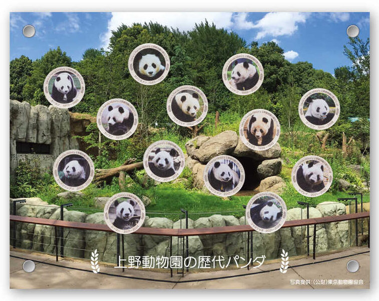 上野動物園の歴代パンダ　純銀製メダル（13種類コンプリートセット）