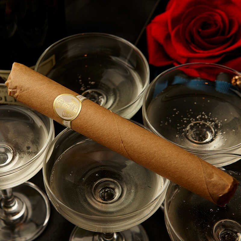 【JOHN KANAYA】葉巻ショコラ　シャンパーニュ