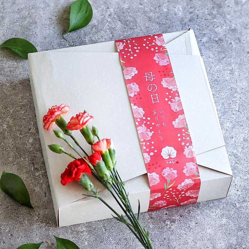 わさび葉寿し梅守（うめもり）「母の日御膳」